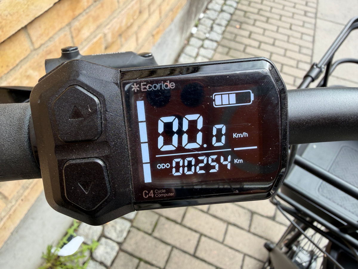 Ecoride Ambassador 4 2025 – endast 254 km
