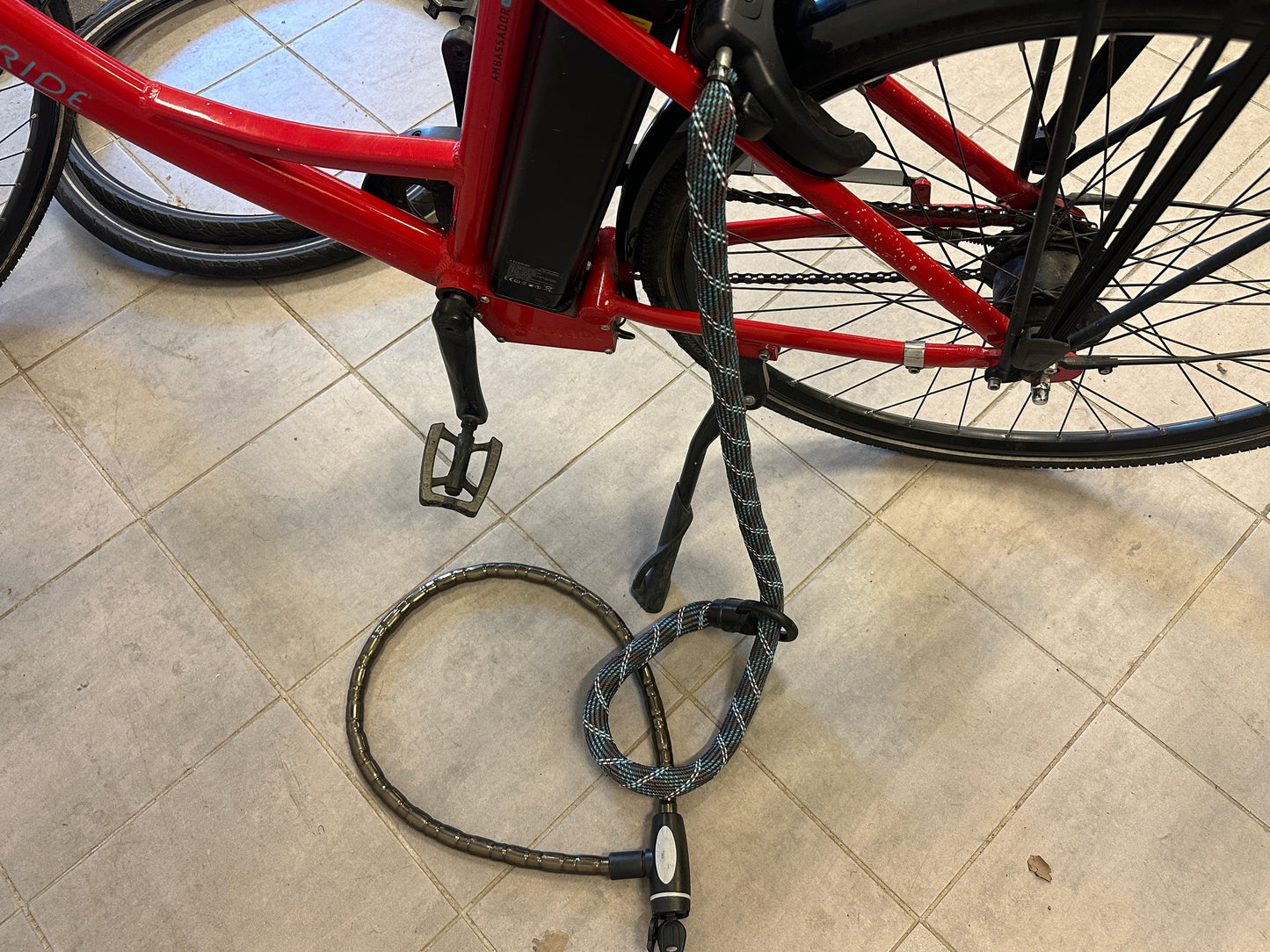 Ecoride Ambassdor Nexus 8