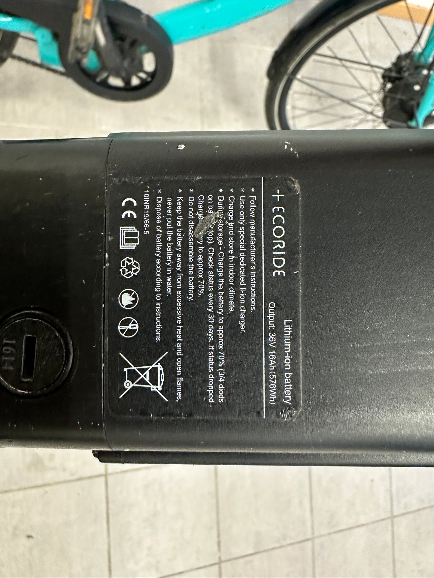 Ecoride Ambassador Nexus 7