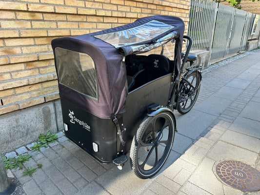 Cargobike deLight