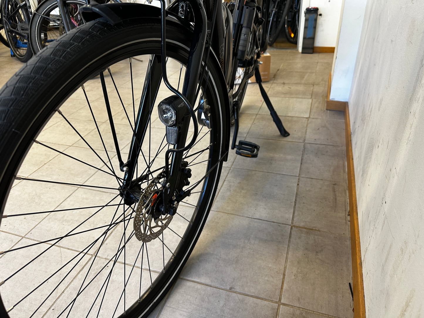 Ecoride Ambassador