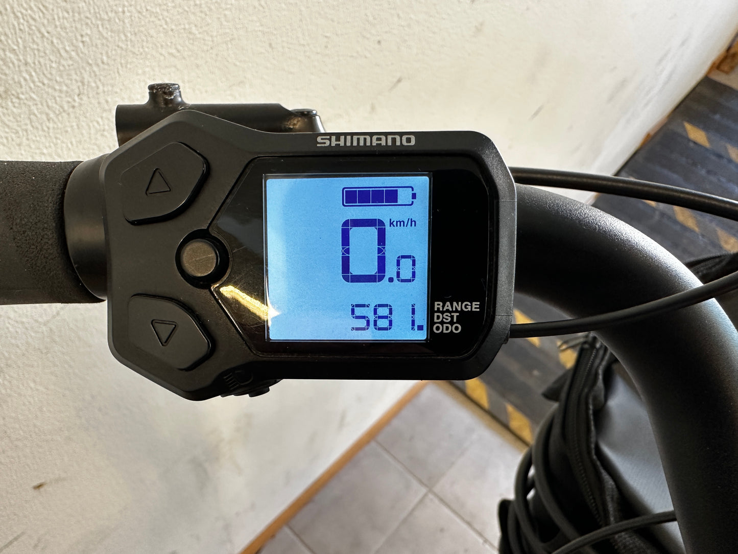 Ecoride Ambassador